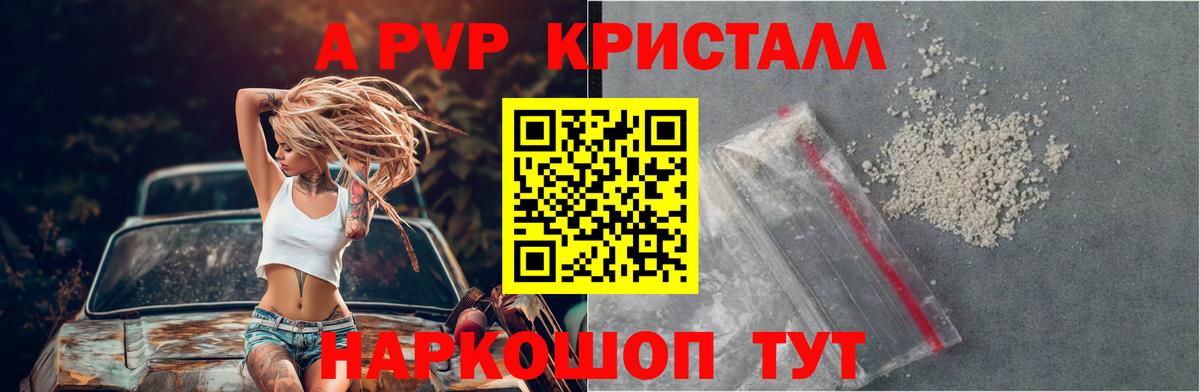 APVP СК КРИС  Вход с VPN  Alfa_PVP VHQ  Тосно 