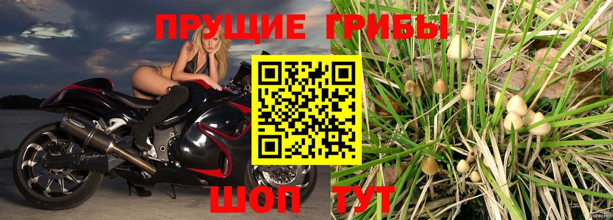 Псилоцибиновые грибы мицелий Тосно