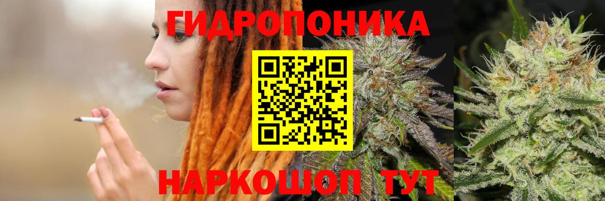 Шишки марихуана LSD WEED  Вход с VPN  Марихуана конопля  Тосно  Шишки марихуана OG Kush  МАРИХУАНА сатива 